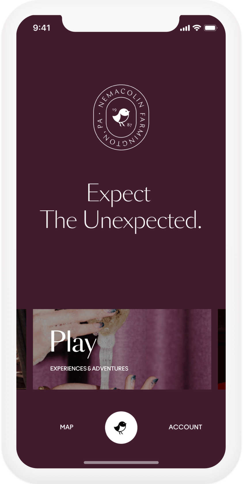 image of website on a phone